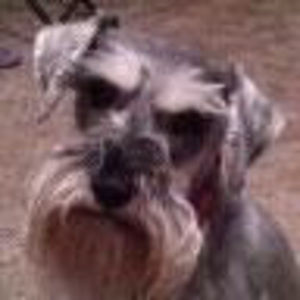 Meet your Posher, Charles